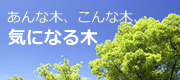 気になる木